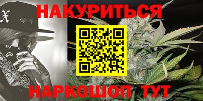прущие грибы Моздок