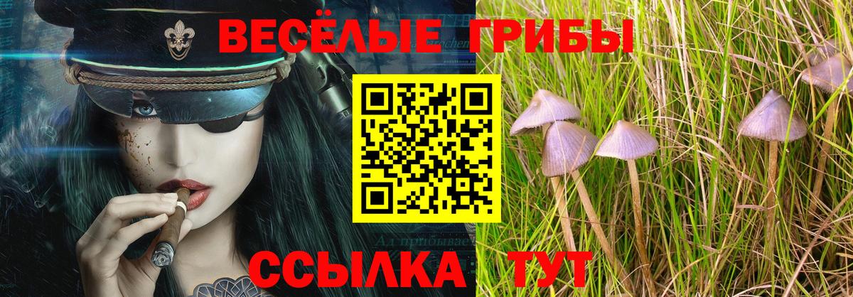 Псилоцибиновые грибы Magic Shrooms  Галлюциногенные грибы мухоморы  Зерноград  Вход с VPN 